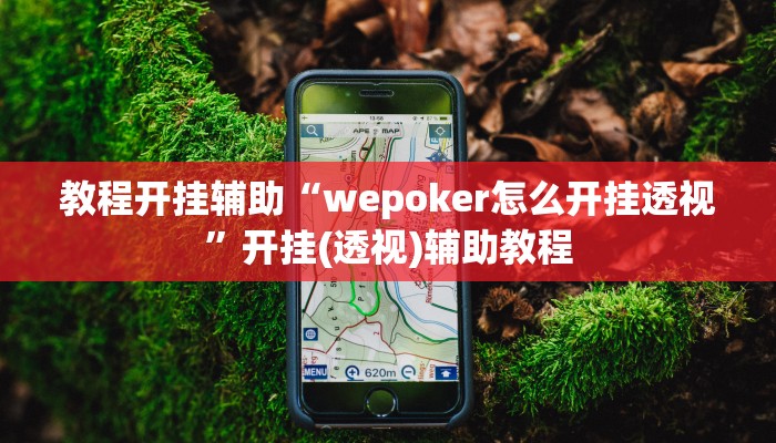 教程开挂辅助“wepoker怎么开挂透视”开挂(透视)辅助教程