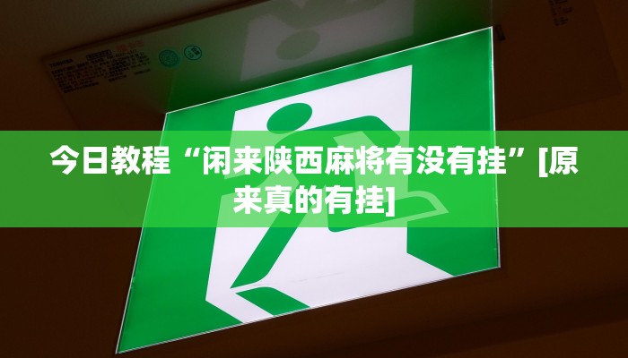 辅助开挂神器“微乐保皇开挂教程”详细教程辅助工具