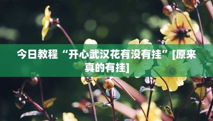 分享实测“闽游福建麻将有没有挂”确实真的有挂 分享实测“闽游福建麻将有没有挂”确实真的有挂