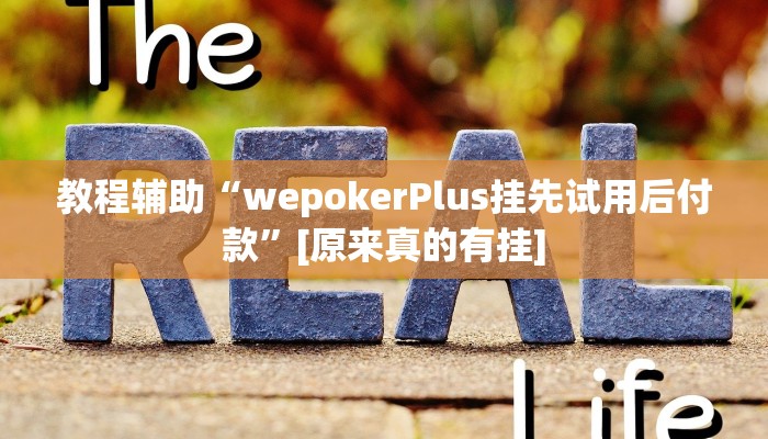 万能开挂辅助“博雅地方棋牌可以作弊吗”详细教程辅助工具