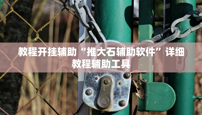 教程开挂辅助“推大石辅助软件”详细教程辅助工具