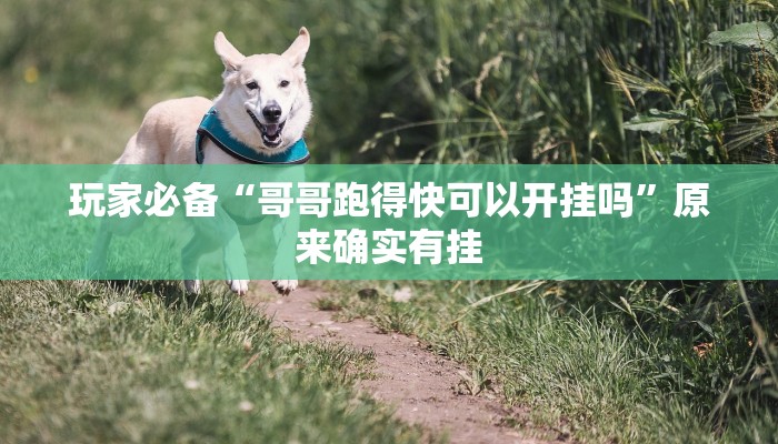 玩家必备“猴猴苏州麻将确实真的有挂”原来确实有挂