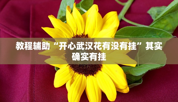 教程辅助“开心武汉花有没有挂”其实确实有挂 教程辅助“开心武汉花有没有挂”其实确实有挂