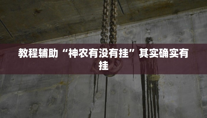 分享实测“腾达填大坑透视挂”确实真的有挂 分享实测“腾达填大坑透视挂”确实真的有挂