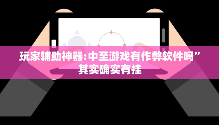 玩家辅助神器:中至游戏有作弊软件吗”其实确实有挂
