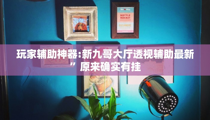 玩家辅助神器:新九哥大厅透视辅助最新”原来确实有挂