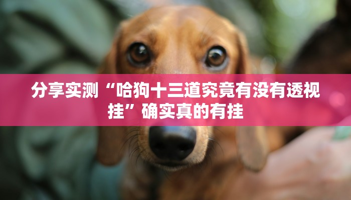 教程开挂辅助“微乐跑得快开挂神器”详细分享装挂步骤教程 教程开挂辅助“微乐跑得快开挂神器”详细分享装挂步骤教程