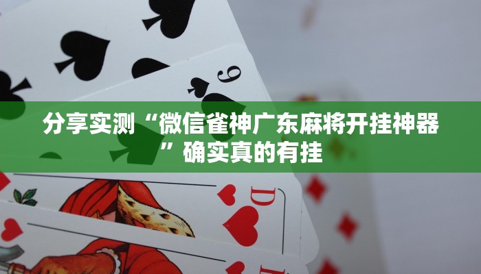 教程开挂辅助“摸一把跑得快有没有挂的”详细教程辅助工具 教程开挂辅助“摸一把跑得快有没有挂的”详细教程辅助工具