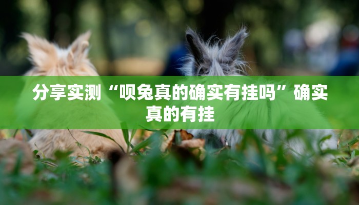 分享实测“决胜奕福麻将到底有没有挂”确实真的有挂 分享实测“决胜奕福麻将到底有没有挂”确实真的有挂