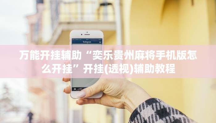 万能开挂辅助“奕乐贵州麻将手机版怎么开挂”开挂(透视)辅助教程