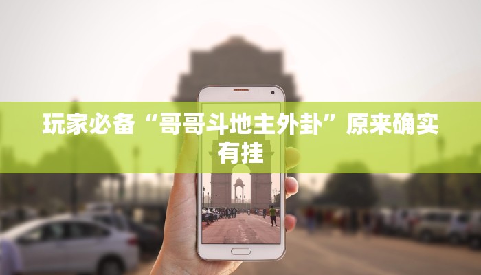 辅助神器“随意玩金花到底有没有开挂工具”![果然有透视挂]