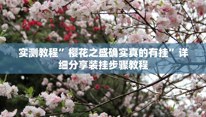 实测教程”微乐河北麻将小程序万能挂免费版”详细分享装挂步骤教程 实测教程”微乐河北麻将小程序万能挂免费版”详细分享装挂步骤教程
