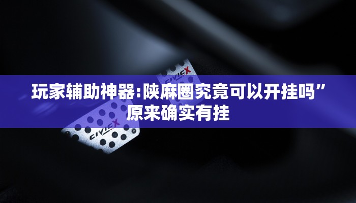必备科技“微信微乐斗地主外卦神器透视”![果然有透视挂]