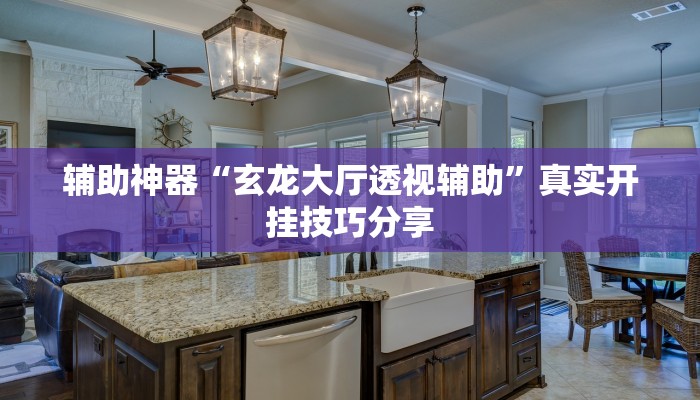 辅助神器“玄龙大厅透视辅助”真实开挂技巧分享