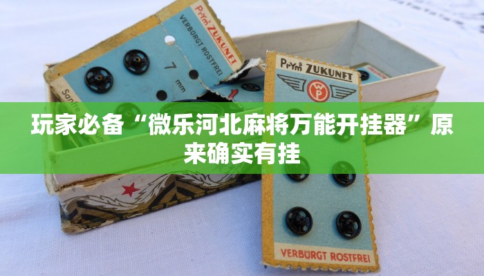 玩家必备“微乐河北麻将万能开挂器”原来确实有挂 玩家必备“微乐河北麻将万能开挂器”原来确实有挂