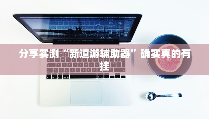 分享实测“新道游辅助器”确实真的有挂 分享实测“新道游辅助器”确实真的有挂