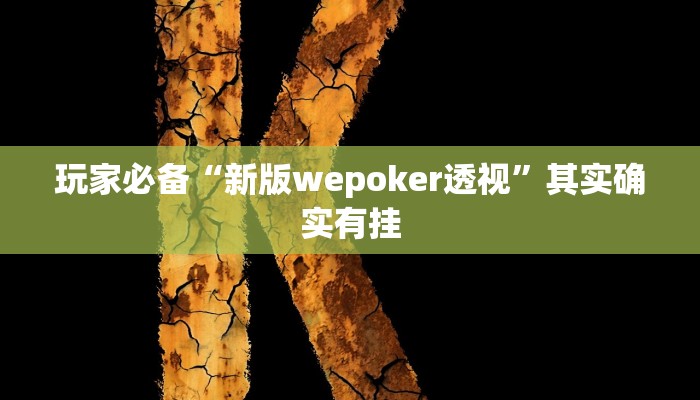 玩家必备“新版wepoker透视”其实确实有挂 玩家必备“新版wepoker透视”其实确实有挂