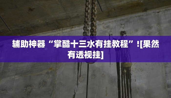 辅助神器“掌酷十三水有挂教程”![果然有透视挂]