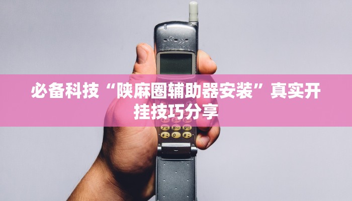必备科技“陕麻圈辅助器安装”真实开挂技巧分享