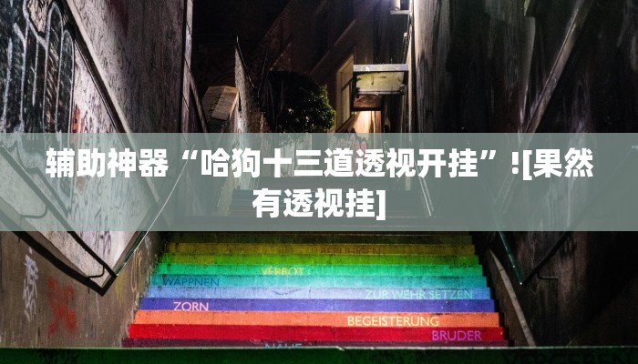 辅助神器“哈狗十三道透视开挂”![果然有透视挂]