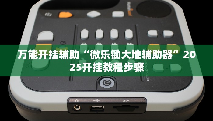 万能开挂辅助“微乐锄大地辅助器”2025开挂教程步骤