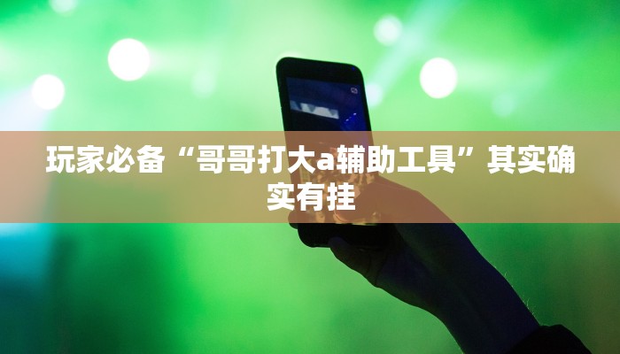 玩家必备“哥哥打大a辅助工具”其实确实有挂