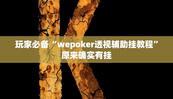 玩家必备“wepoker透视辅助挂教程”原来确实有挂