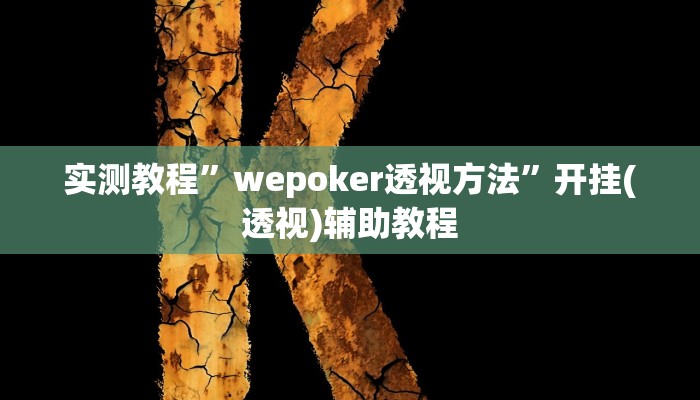 实测教程”wepoker透视方法”开挂(透视)辅助教程