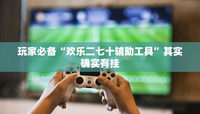 玩家必备“欢乐二七十辅助工具”其实确实有挂