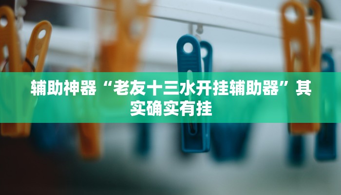 辅助神器“老友十三水开挂辅助器”其实确实有挂 辅助神器“老友十三水开挂辅助器”其实确实有挂