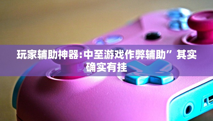 玩家辅助神器:中至游戏作弊辅助”其实确实有挂