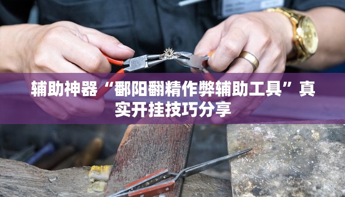 辅助神器“鄱阳翻精作弊辅助工具”真实开挂技巧分享
