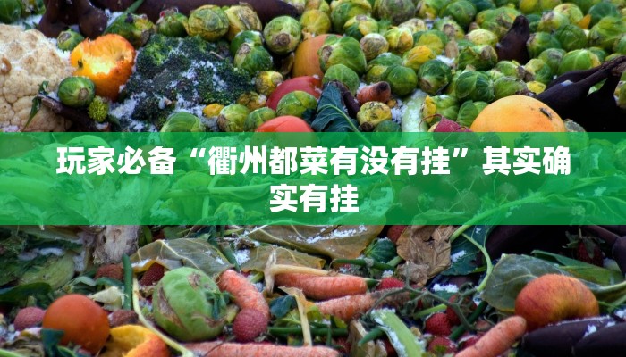 玩家必备“衢州都菜有没有挂”其实确实有挂