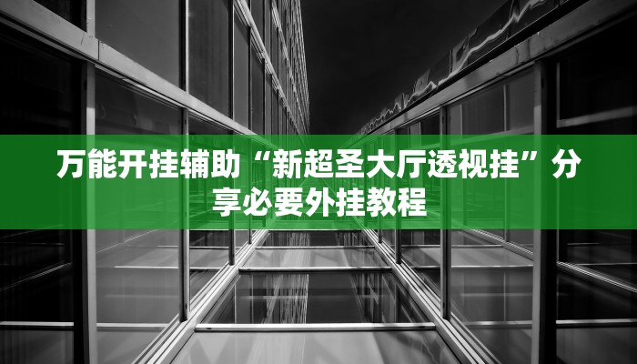 万能开挂辅助“新超圣大厅透视挂”分享必要外挂教程 万能开挂辅助“新超圣大厅透视挂”分享必要外挂教程
