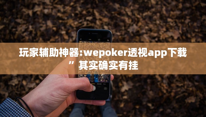 玩家辅助神器:wepoker透视app下载”其实确实有挂