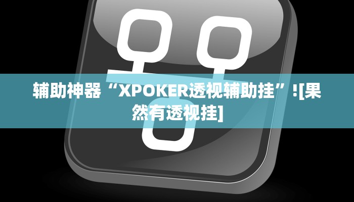 辅助神器“XPOKER透视辅助挂”![果然有透视挂]