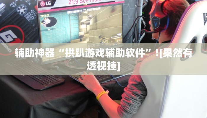 辅助神器“拱趴游戏辅助软件”![果然有透视挂]