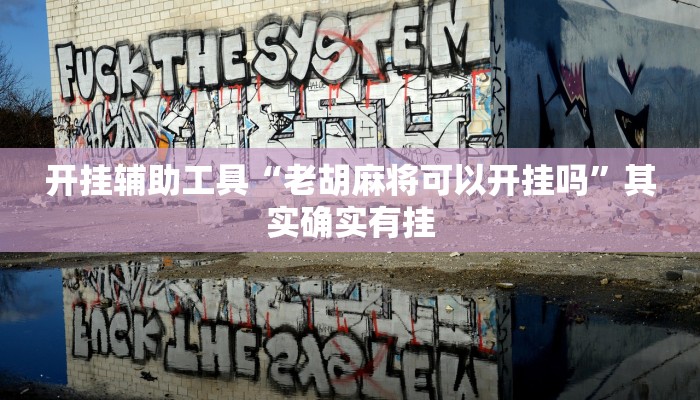 开挂辅助工具“老胡麻将可以开挂吗”其实确实有挂