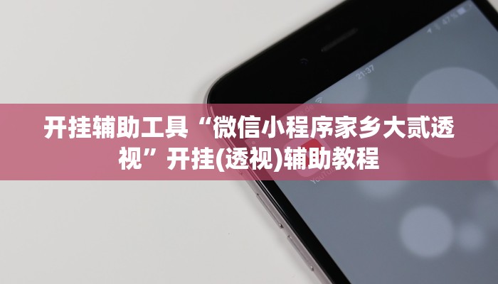 开挂辅助工具“微信小程序家乡大贰透视”开挂(透视)辅助教程