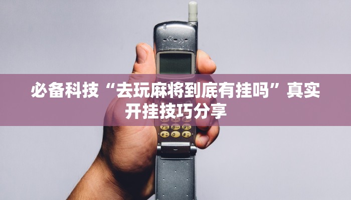 必备科技“去玩麻将到底有挂吗”真实开挂技巧分享 必备科技“去玩麻将到底有挂吗”真实开挂技巧分享