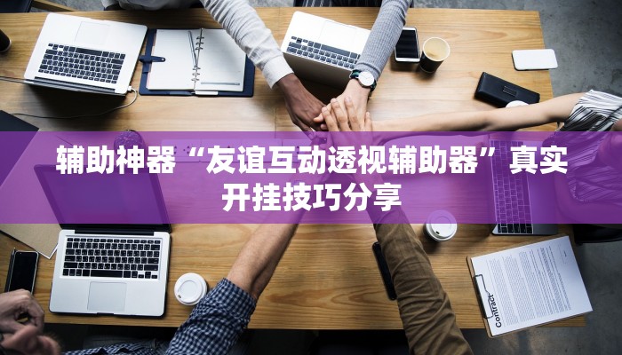 辅助神器“友谊互动透视辅助器”真实开挂技巧分享