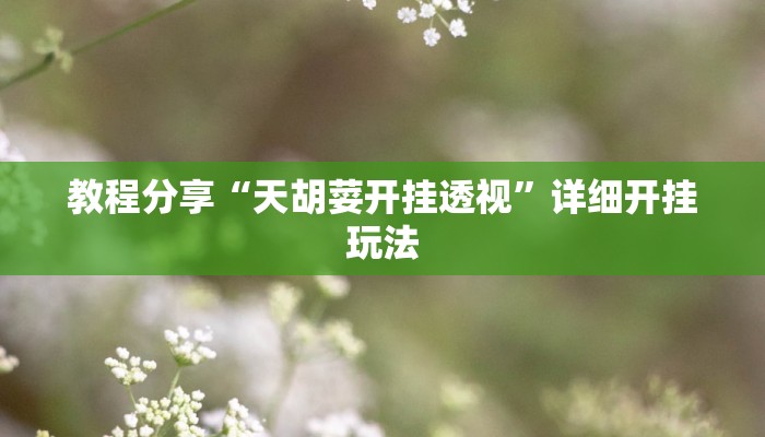 教程分享“天胡荽开挂透视”详细开挂玩法