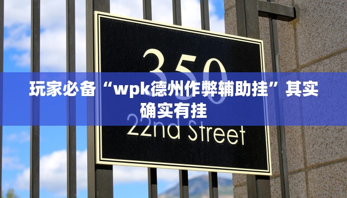 玩家必备“wpk德州作弊辅助挂”其实确实有挂