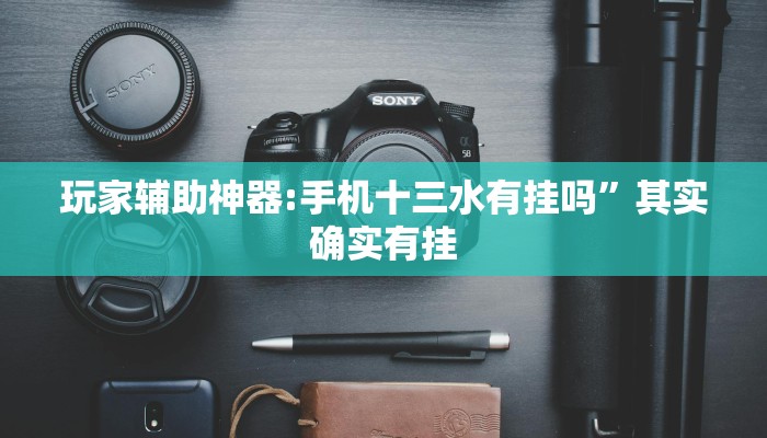 玩家辅助神器:手机十三水有挂吗”其实确实有挂