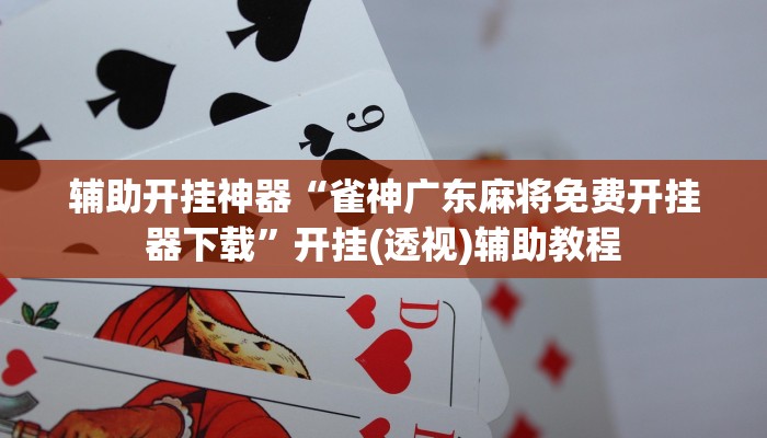 辅助开挂神器“雀神广东麻将免费开挂器下载”开挂(透视)辅助教程