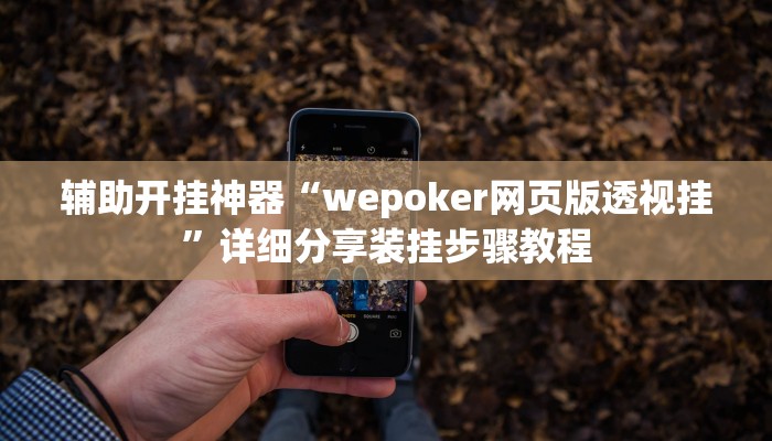 辅助开挂神器“wepoker网页版透视挂”详细分享装挂步骤教程