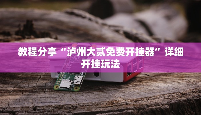 教程分享“泸州大贰免费开挂器”详细开挂玩法