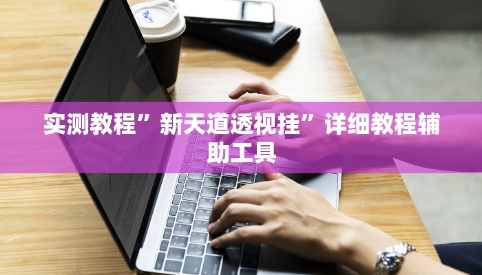 实测教程”新天道透视挂”详细教程辅助工具