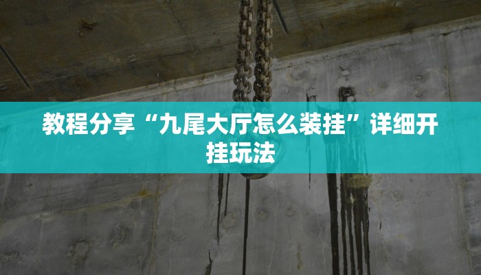 教程分享“九尾大厅怎么装挂”详细开挂玩法