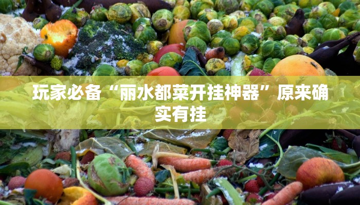 玩家必备“丽水都菜开挂神器”原来确实有挂